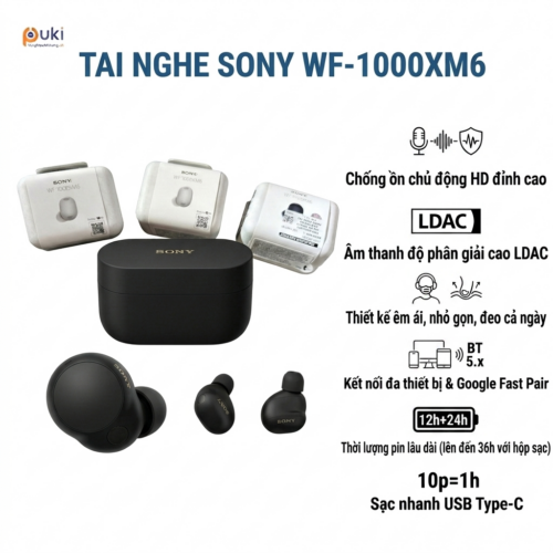 Sony WF-1000XM6