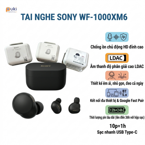 Sony WF-1000XM6