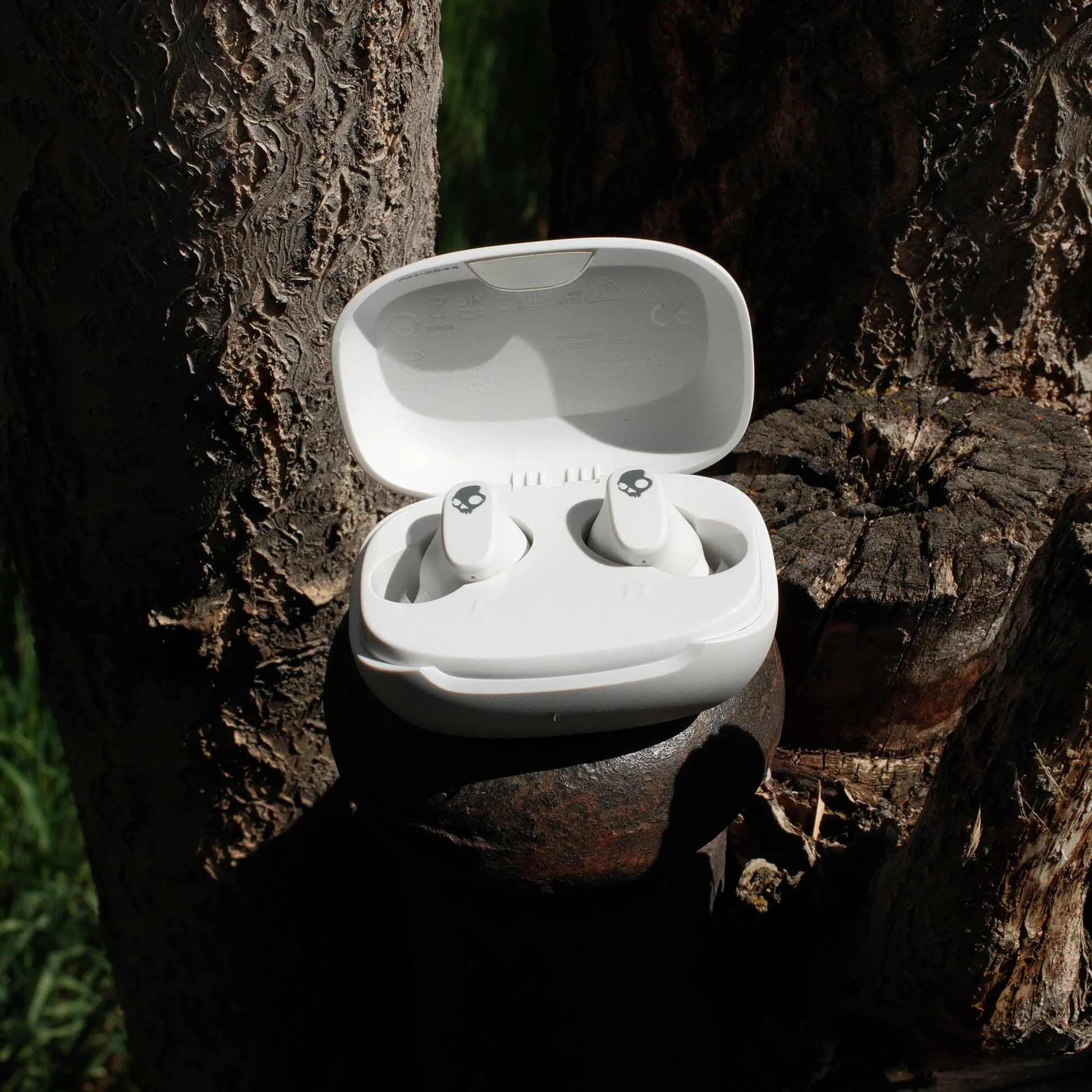 26A_Smokin_Buds_360_Bone_S2SPW-T001_Buy_Boxes_8