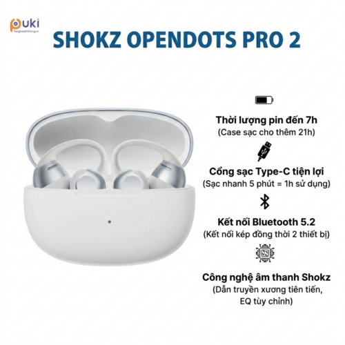 Shokz OpenDots 2